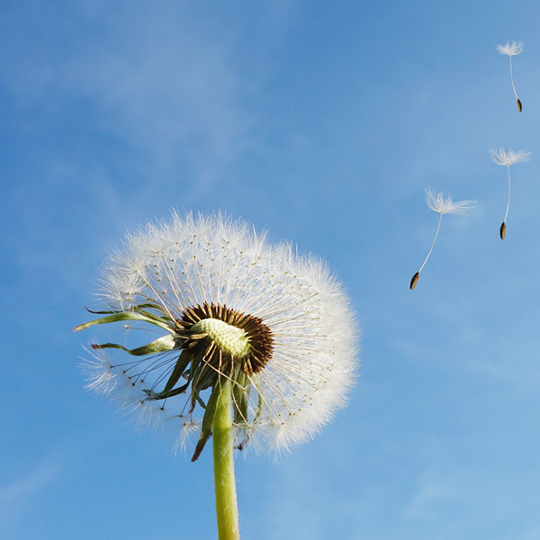 首页|尊龙集团中国官方网站