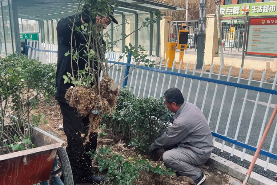 首页|尊龙集团中国官方网站