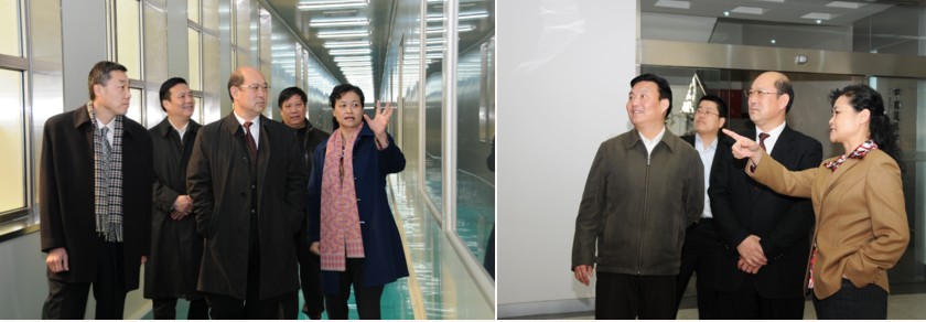 365速发国际(中国)官方网站