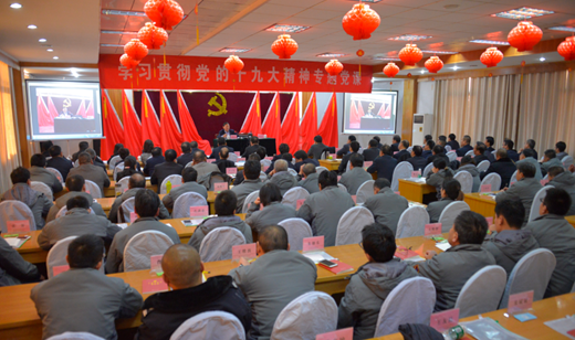 365速发国际(中国)官方网站