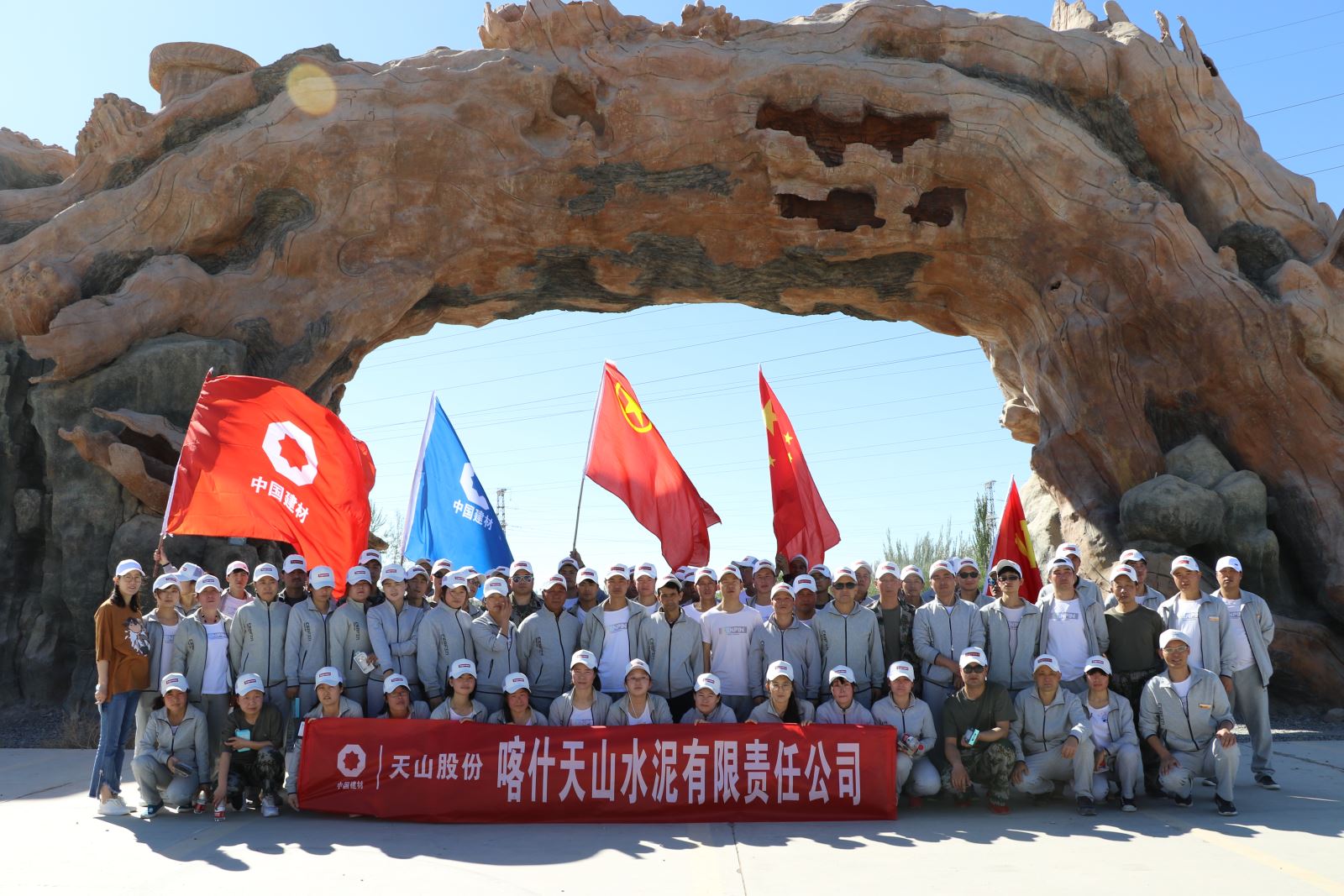 365速发国际(中国)官方网站