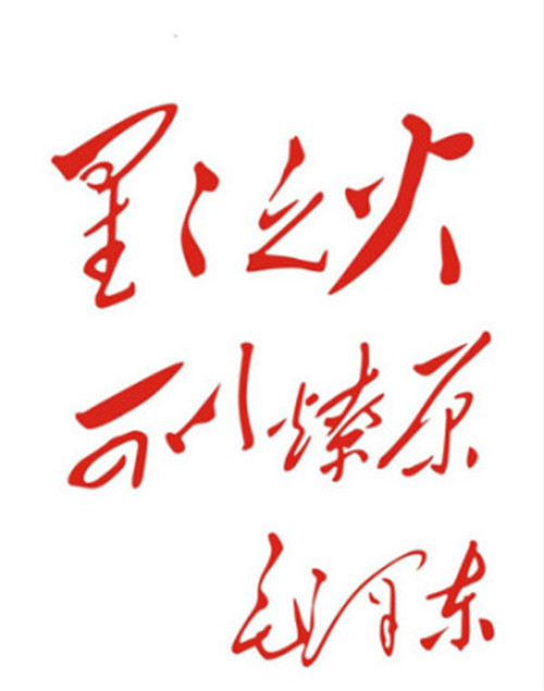 365速发国际(中国)官方网站