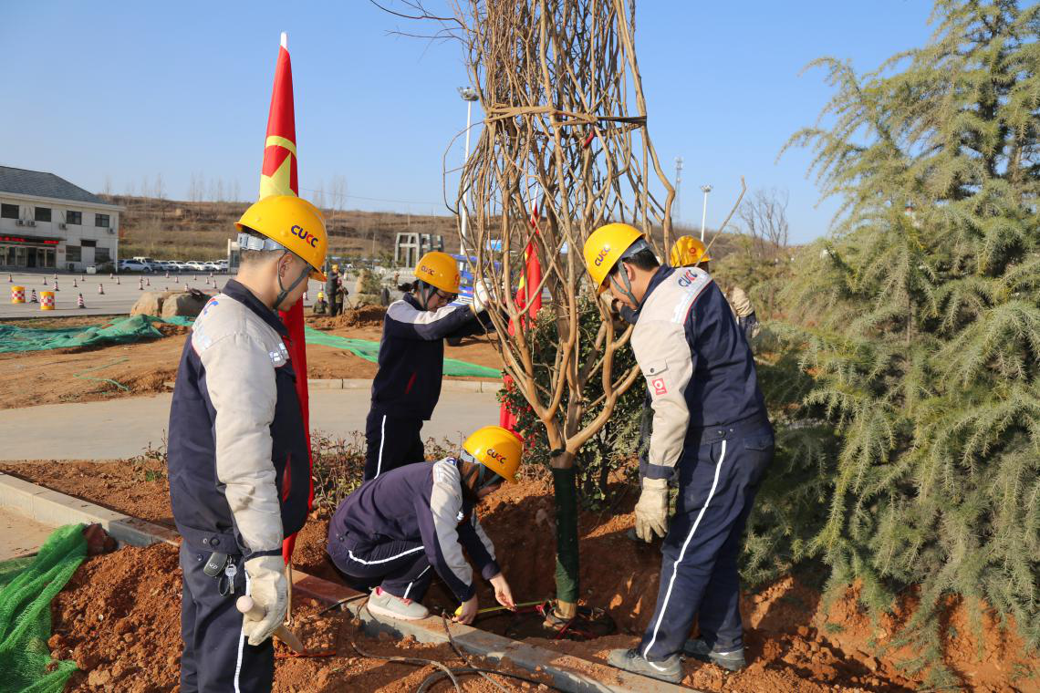 365速发国际(中国)官方网站