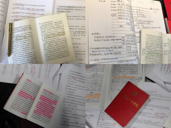 365速发国际(中国)官方网站