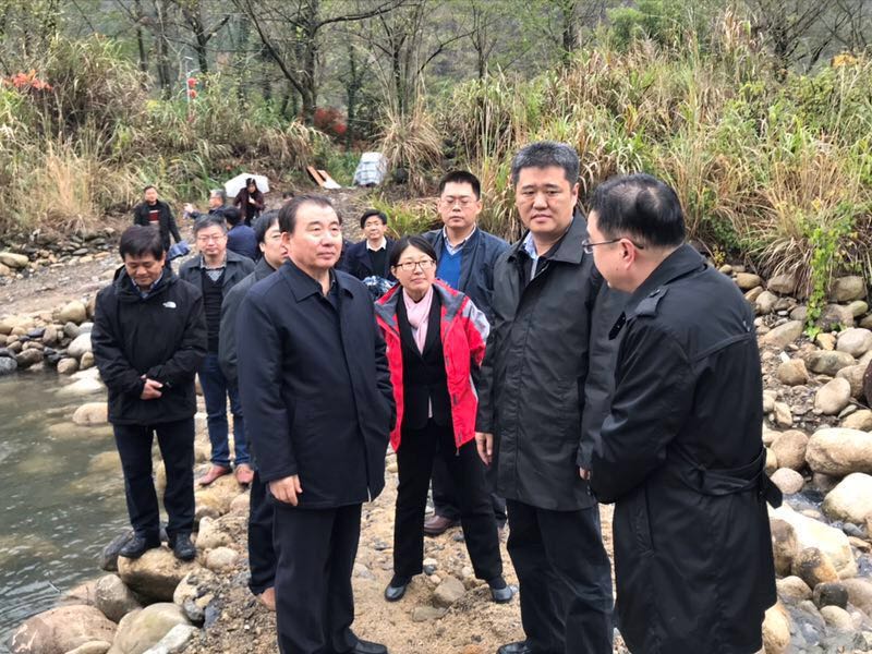 365速发国际(中国)官方网站