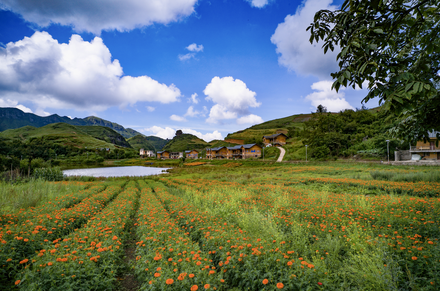 365速发国际(中国)官方网站