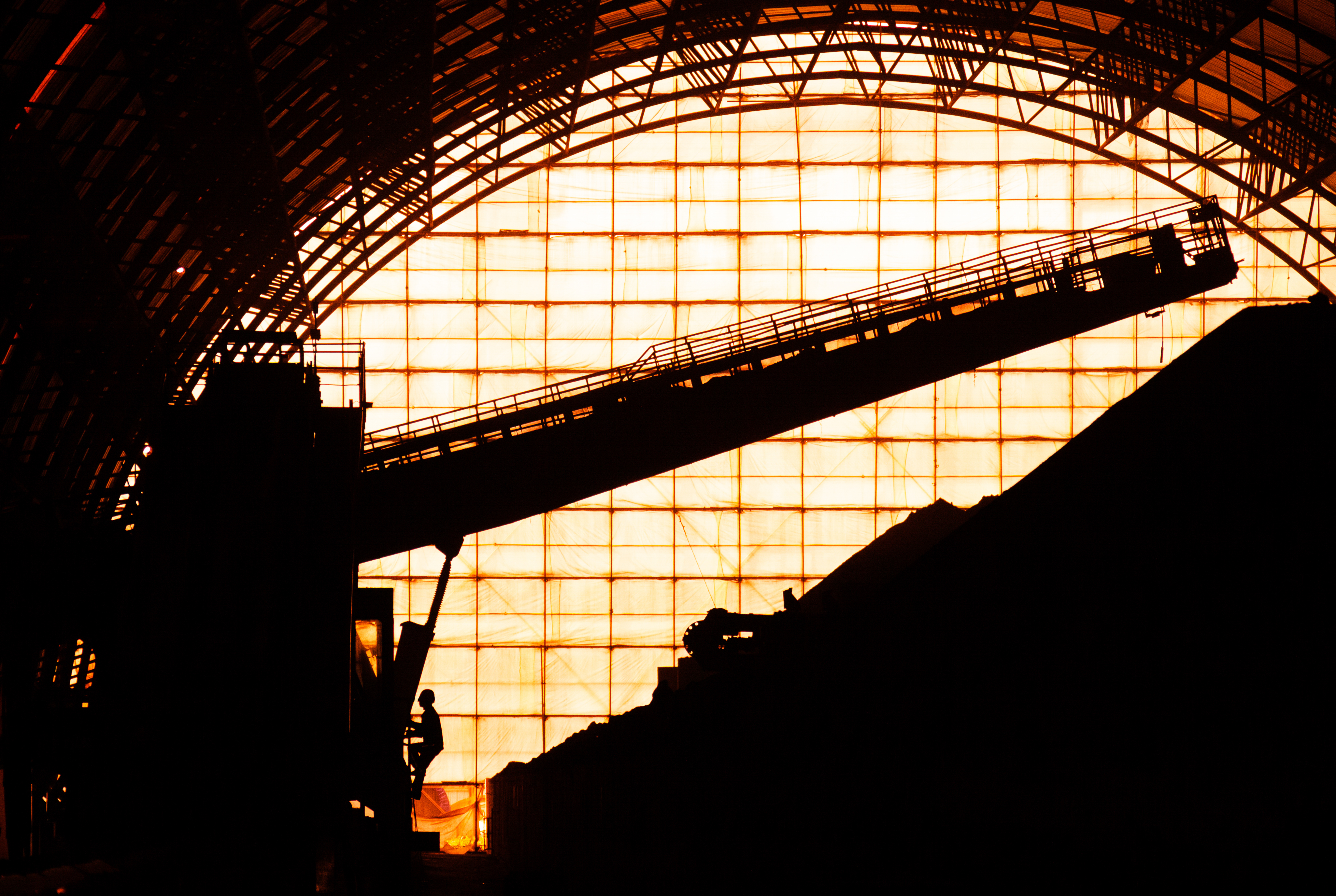 365速发国际(中国)官方网站