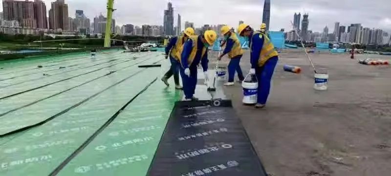 365速发国际(中国)官方网站