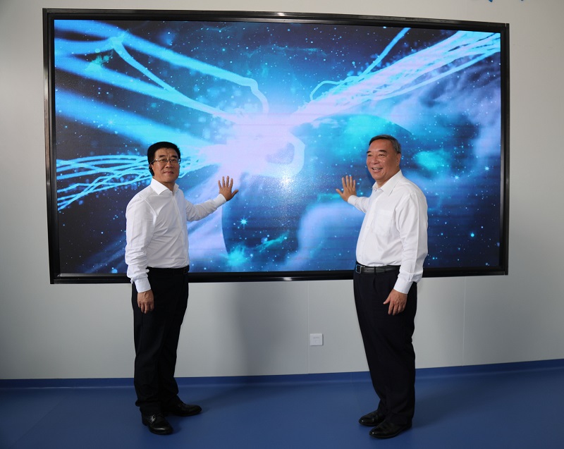 365速发国际(中国)官方网站
