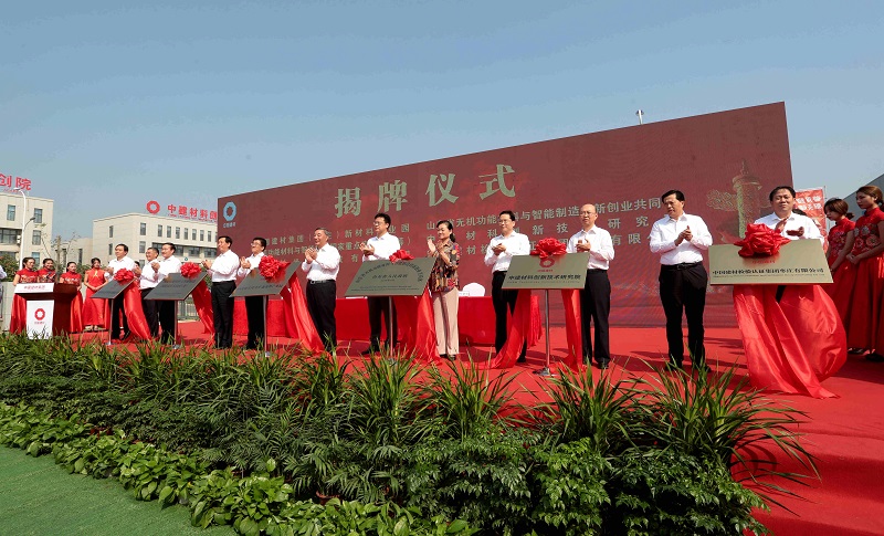 365速发国际(中国)官方网站